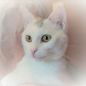 Meet your Posher, Karen